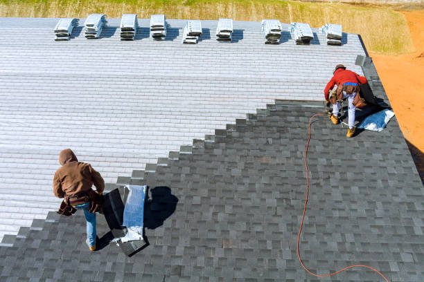 Best Roof Ventilation Installation  in Lake Wildwood, CA