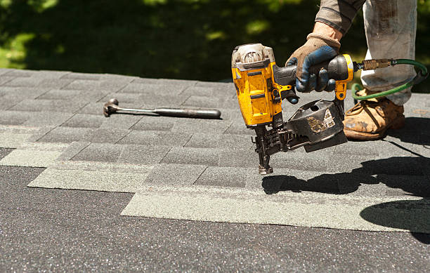 Best Roof Maintenance and Cleaning  in Lake Wildwood, CA